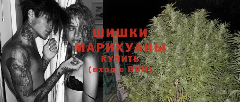 Каннабис Ganja  Вельск 